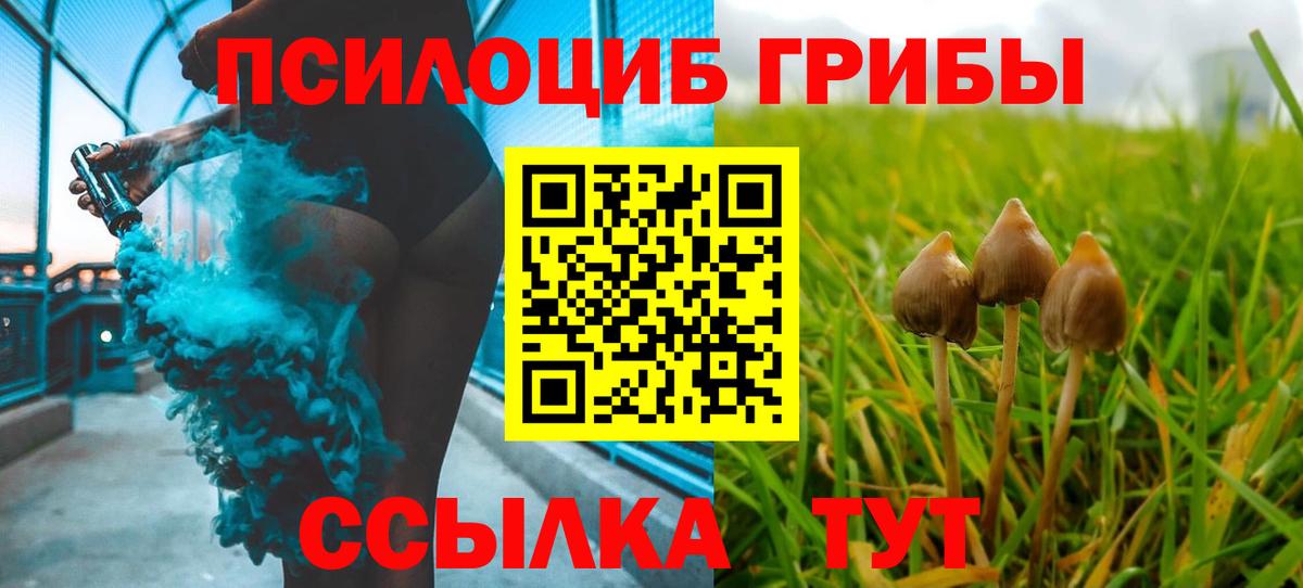 Минеральные Воды  Галлюциногенные грибы прущие грибы  Вход с VPN 