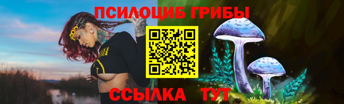 Псилоцибиновые грибы GOLDEN TEACHER Минеральные Воды